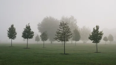 Wundervolle Herbstlandschaft mit Nebel und Bäumen bei Sonnenaufgang