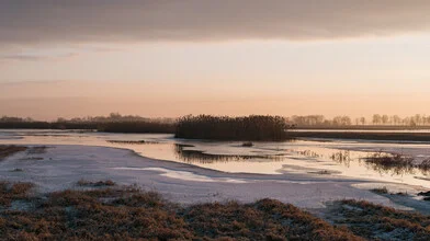 Winterlandschaft mit schneebedecktem Fluss und Sonnenaufgang über schilfigem Ufer.