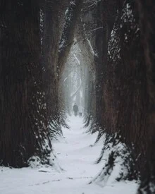 Winterliche Waldszene mit schneebedeckten Bäumen in Bayern