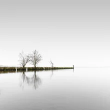 Photo art by Ronny Behnert: serene landscape at Schwielowsee with fog and trees.