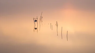 Fotografie von Thomas Wegner: Fischernetze im ruhigen See bei Sonnenaufgang mit Nebel.