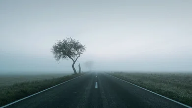 Photo art by Thomas Wegner: trees by the roadside in autumn fog