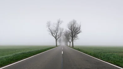 Photo art: Mist surrounding trees along a peaceful country road in autumn