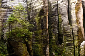 Fotokunst von Michael Wagener: Blick in die ruhige Felsenschlucht in Tschechien
