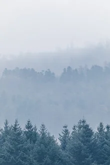 Fotokunst von Sebastian Worm: Nebel über sanften Hügeln im Rheinland-Pfalz.