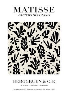 Art Classics, Matisse - Papiers Découpés