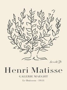 Art Classics, Matisse - Le Buisson