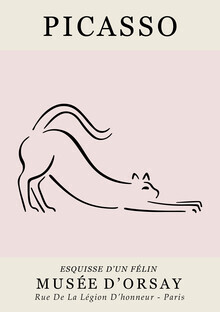 Art Classics, Picasso - Esquisse D'Un Felin