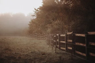 Sunrise over a fence, surrounded by gentle bushes in Augsburg