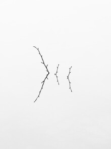 Holger Nimtz, three twigs