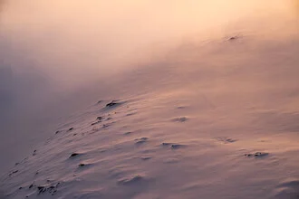 Snowfield in Switzerland, gentle hills under a clear sky