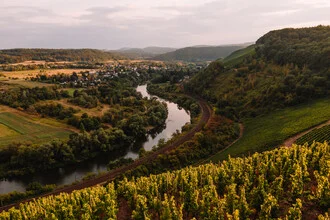 Wall art by Lina Jakobi: Gentle vineyards with a river in the background