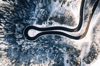Aerial view of snow-covered trees and a curvy road in winter.