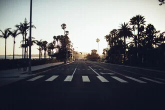 Photo art featuring palm trees and a sunset in Santa Barbara, California.