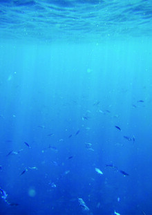 Studio Na.hili, Under the Water (Germany, Europe)