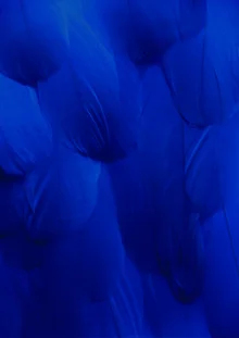 Fotokunst: sanfte blaue Farbverläufe in minimalistischer Komposition.