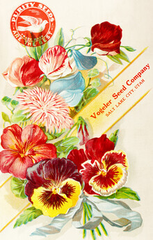 Vintage Nature Graphics, Purity seeds Are The Best (Deutschland, Europa)