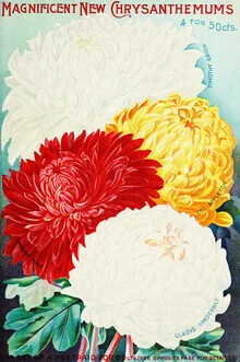 Wandbild mit stilisierten Chrysanthemen in sanften Farben und feinen Details.