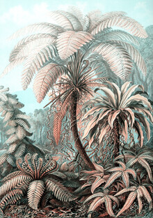 Vintage Nature Graphics, Filicinae 2 (Deutschland, Europa)