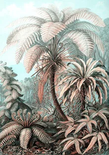 Wandbild von Vintage Nature Graphics: feine botanische Illustration von Farnen