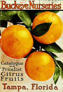 Vintage Nature Graphics, Buckeye Nurseries, Tampa, Florida (Deutschland, Europa)