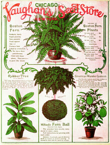 Vintage Nature Graphics, Vaughan's Seed Store (Deutschland, Europa)