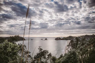 Sunrise over the coast of New Zealand with gentle clouds and calm water.