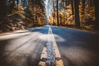 Photo art by Jessica Wiedemann: autumn road in California with orange leaves