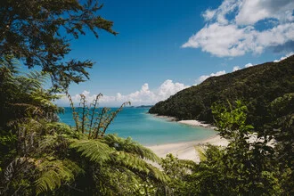 Photo art by Jessica Wiedemann: coastal landscape in New Zealand featuring blue and green hues