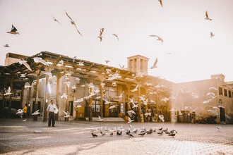 Photo art by Jessica Wiedemann: Birds soaring into the evening sky over Dubai