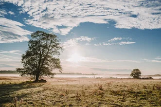Photo art by Jessica Wiedemann: mist over a mossy landscape in Bavaria