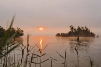 Bavarian lake landscape with gentle fog in the morning light