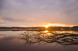 Winter landscape with snow at Wörthsee, soft colors and a calm mood.