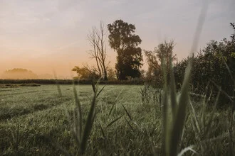Photo art by Jessica Wiedemann: sunrise over mossy landscape in Bavaria