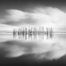 Black and white photo of Kleiner Werl at Scharmützelsee with calm water surface