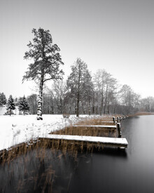 Ronny Behnert, Crowned for eternity | Scharmützelsee
