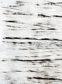 Fotokunst von Manuela Deigert: Winterliche Bäume in sanften, abstrakten Farben