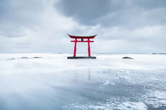 Red torii gate in winter, surrounded by ice and water in a calm atmosphere.