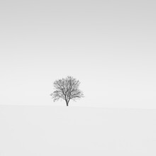 Christian Janik, Winter Wonderland (Germany, Europe)