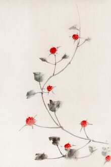Japanese Vintage Art, Small Red Blossoms on a Vine by Katsushika Hokusai