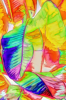 Wall art by Uma Gokhale: colorful tropical plants in a rainforest
