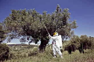 Astronaut in front of an olive tree in Greece, calm and peaceful atmosphere.
