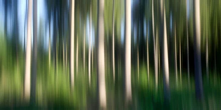 Photo art by Thomas Bölke: blurred landscape with trees and blue sky