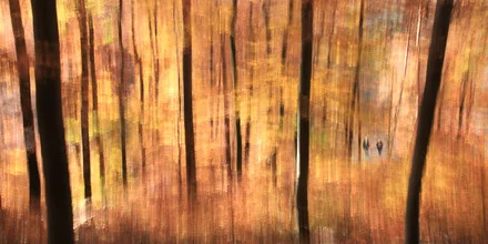 Photo art by Thomas Bölke: autumn hike through golden forests