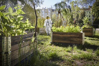 Sophia Hauk, Protestonaut: Urban Gardening