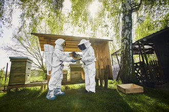 Photo art by Sophia Hauk: astronaut and beekeeper in front of a beehive.