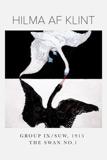 Art Classics, Hilma af Klint The Swan No. 1