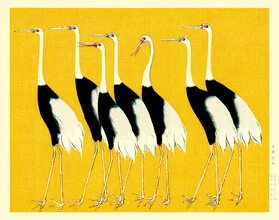 Red crown cranes by Ogata Korin - fotokunst von Japanese Vintage Art