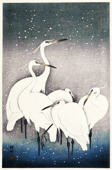 Japanese Vintage Art, Group of Egrets by Ohara Koson