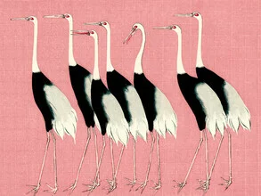 Red crown cranes in front of pink background by Ogata Korin - Fineart photography by Japanese Vintage Art